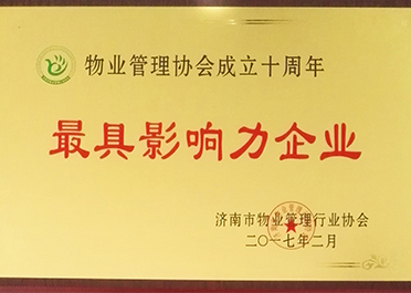 最具影響力企業(yè)